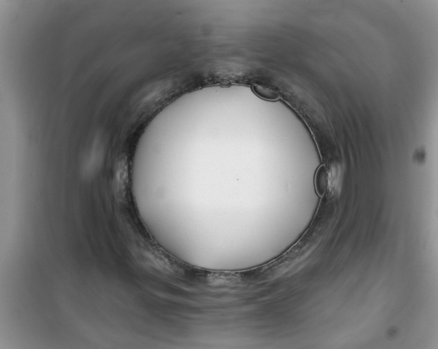 X0000100971299200807221200