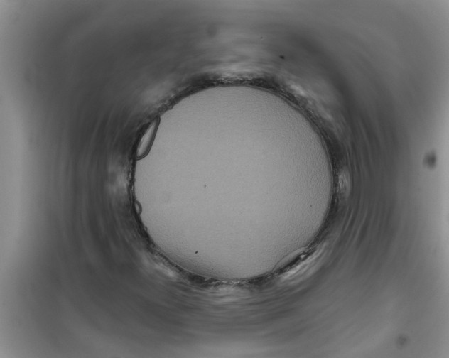 X0000100971300200807221200
