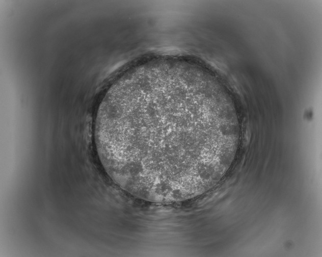 X0000100971301200807221200