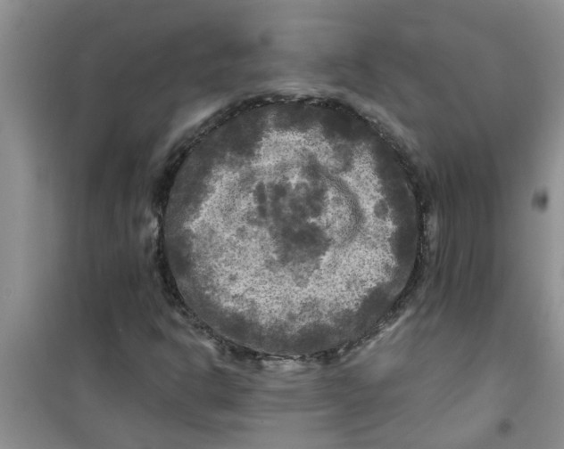 X0000100971302200807221200