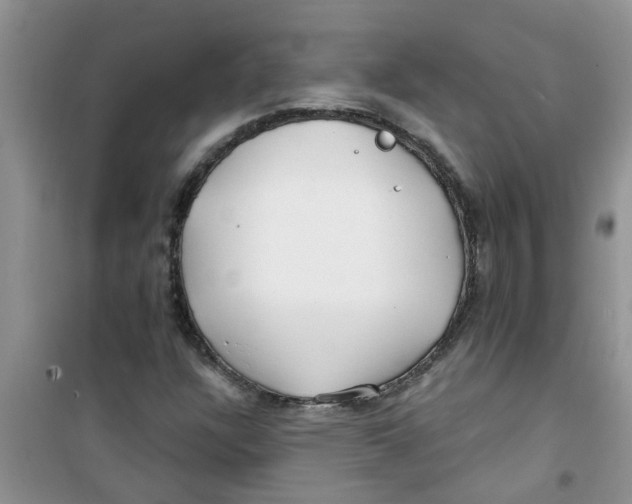 X0000100971304200807221200
