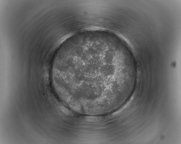 X0000100971305200807221200