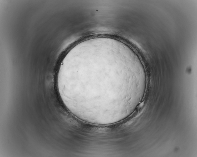 X0000100971309200807221200