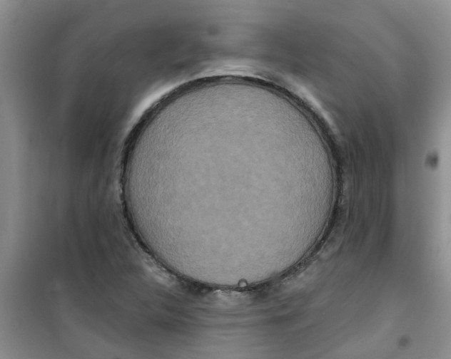 X0000100971312200807221200