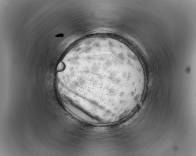 X0000100971313200807221200