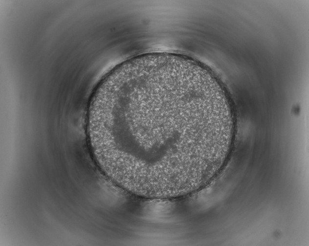 X0000100971314200807221200