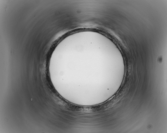 X0000100971315200807221200