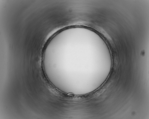 X0000100971316200807221200