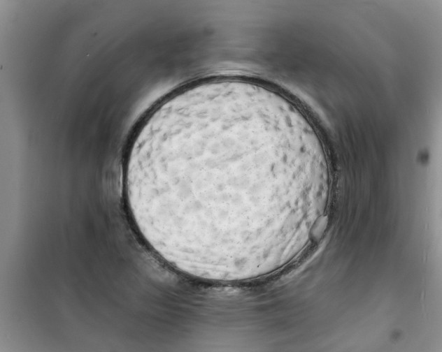 X0000100971317200807221200