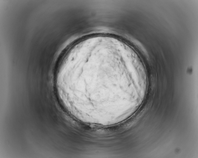 X0000100971318200807221200