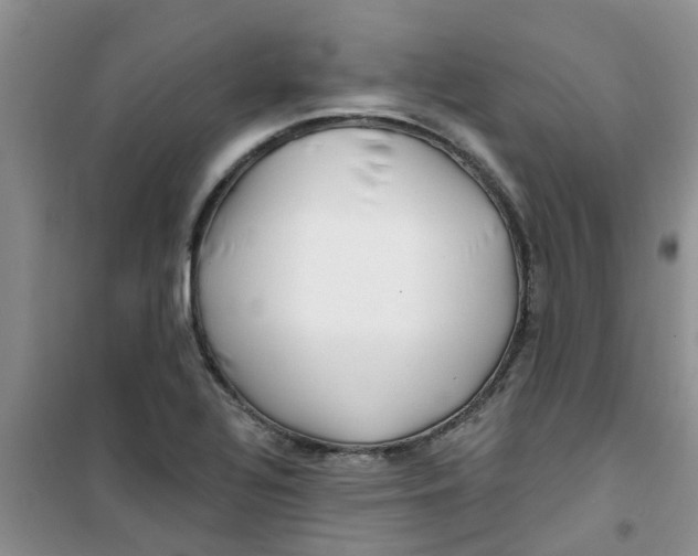 X0000100971320200807221200