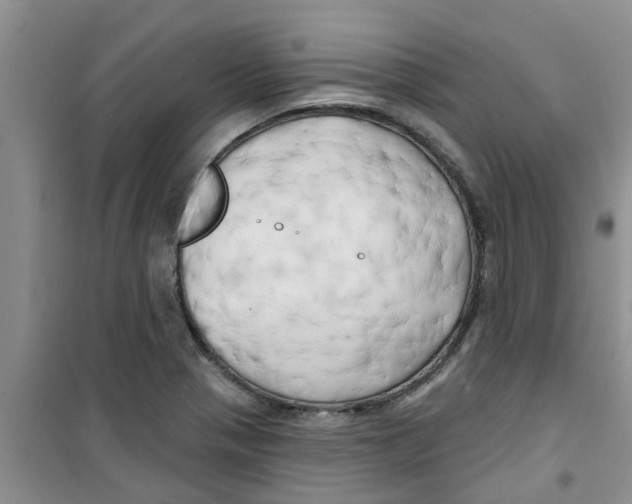 X0000100971321200807221200