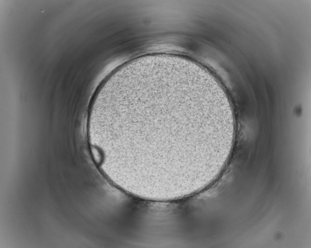 X0000100971322200807221200