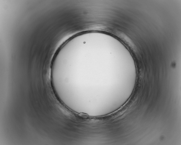 X0000100971324200807221200