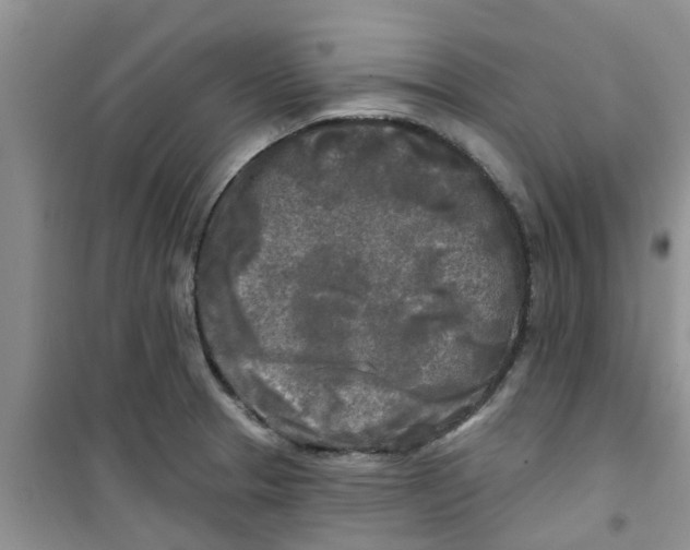 X0000100971329200807221200