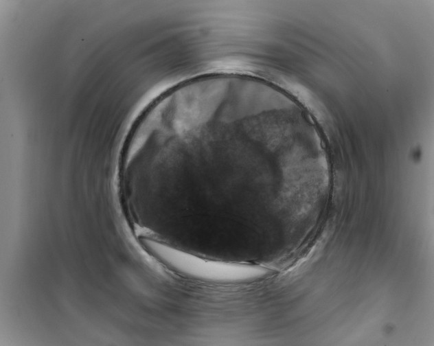 X0000100971331200807221200