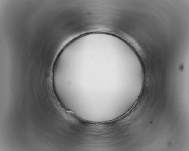 X0000100971332200807221200