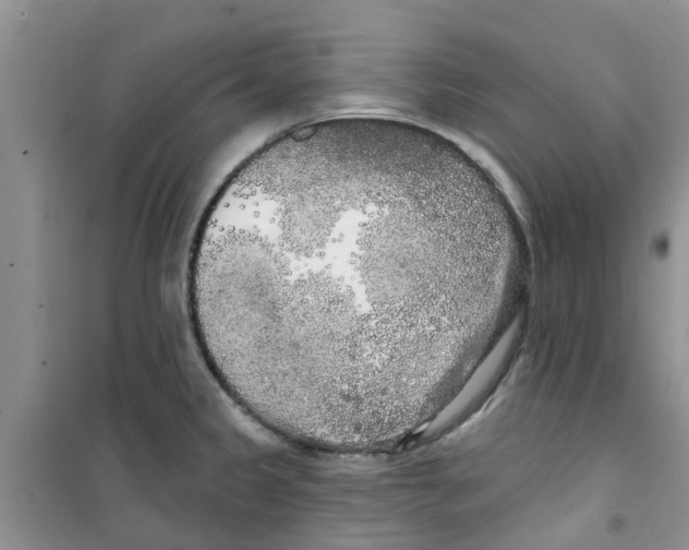 X0000100971333200807221200
