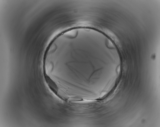 X0000100971334200807221200