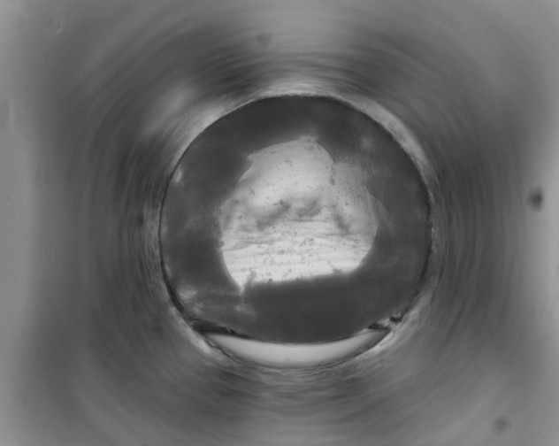 X0000100971337200807221200