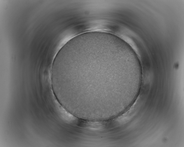 X0000100971338200807221200