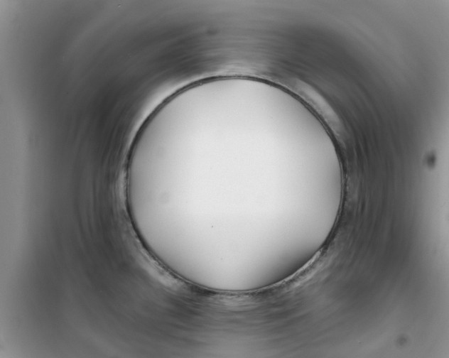 X0000100971340200807221200