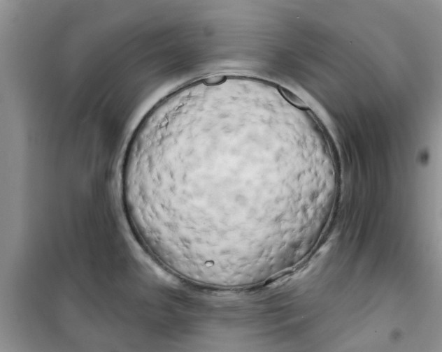 X0000100971341200807221200