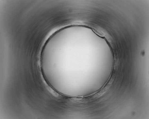 X0000100971342200807221200