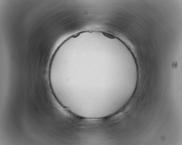 X0000100971344200807221200