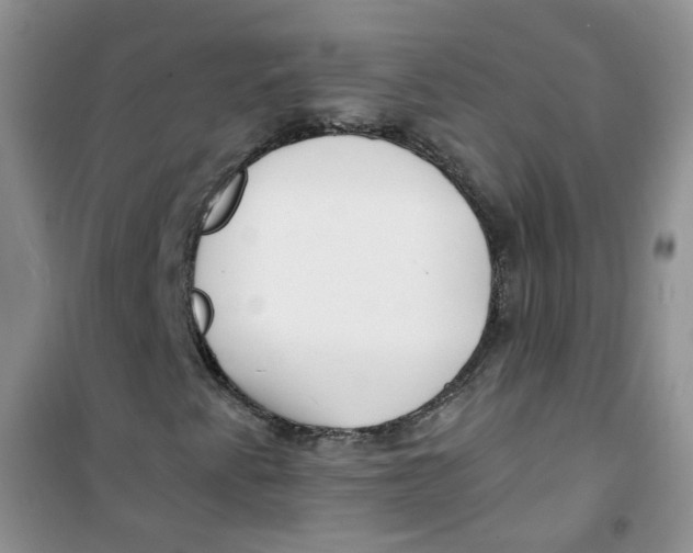 X0000100971345200807221159