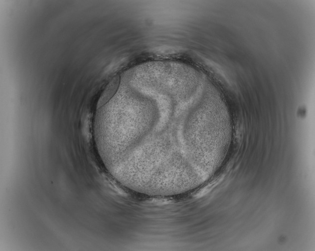 X0000100971346200807221159