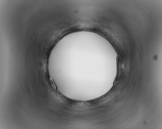 X0000100971348200807221159