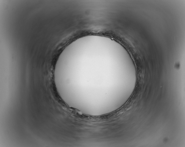 X0000100971349200807221159