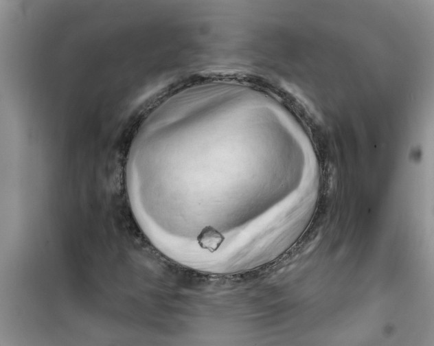X0000100971350200807221159