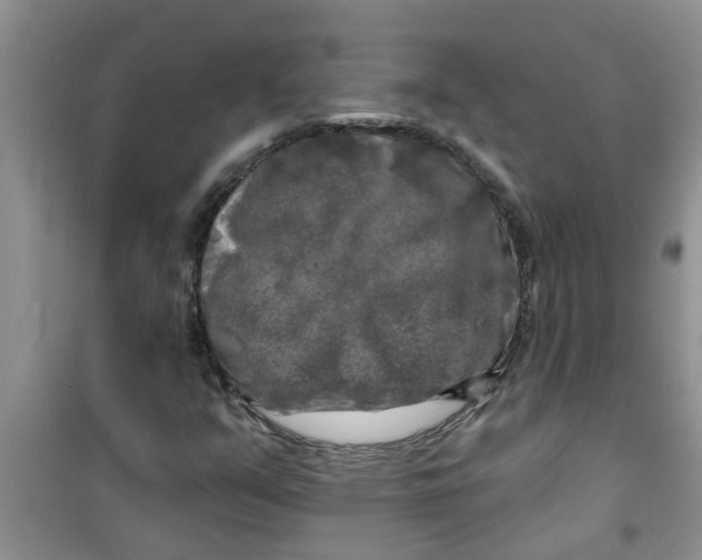 X0000100971351200807221159