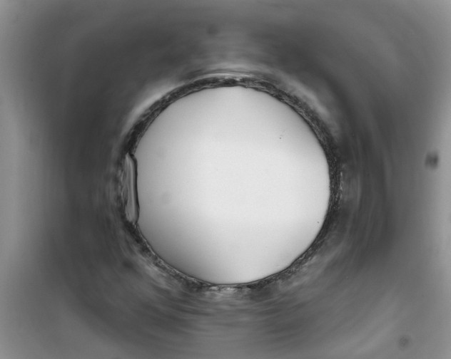 X0000100971352200807221159