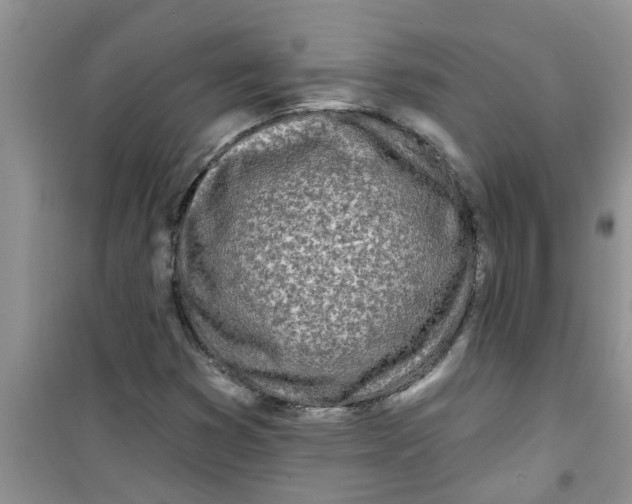 X0000100971353200807221159