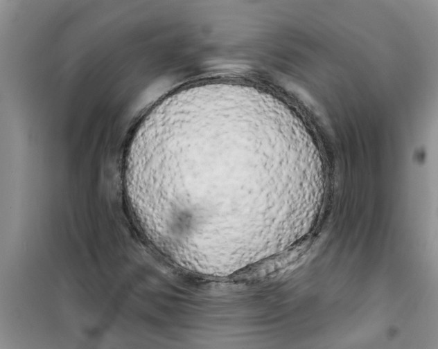 X0000100971354200807221159