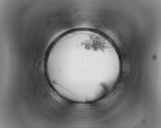 X0000100971356200807221159