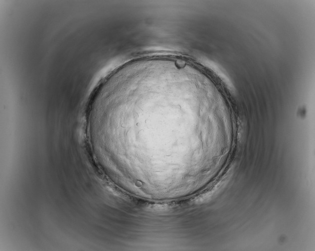X0000100971357200807221159