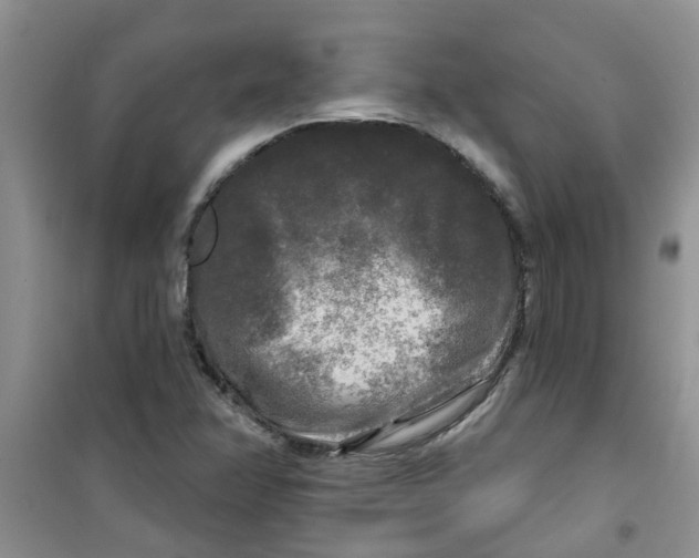 X0000100971358200807221159