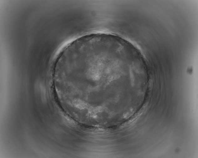 X0000100971359200807221159