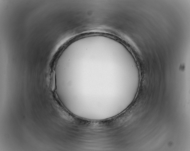 X0000100971360200807221159