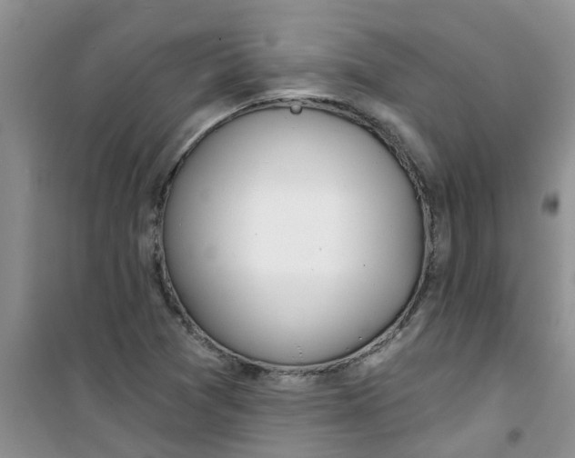 X0000100971361200807221159