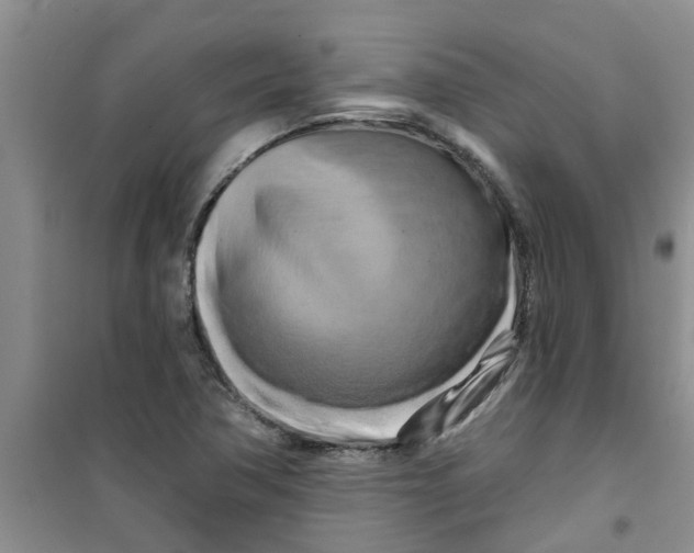 X0000100971362200807221159