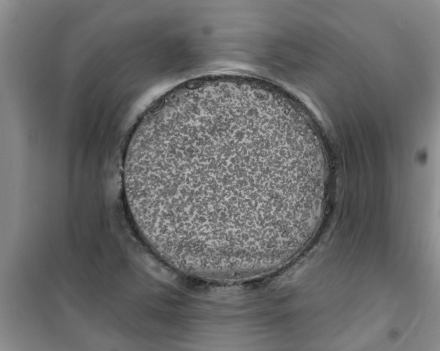 X0000100971363200807221159