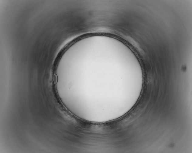 X0000100971364200807221159