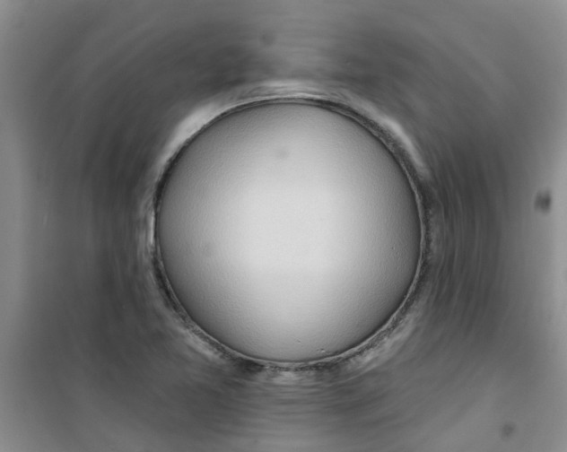 X0000100971365200807221159