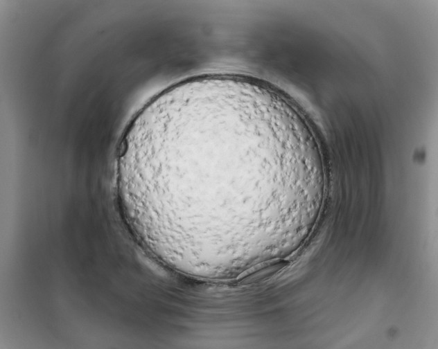 X0000100971366200807221159