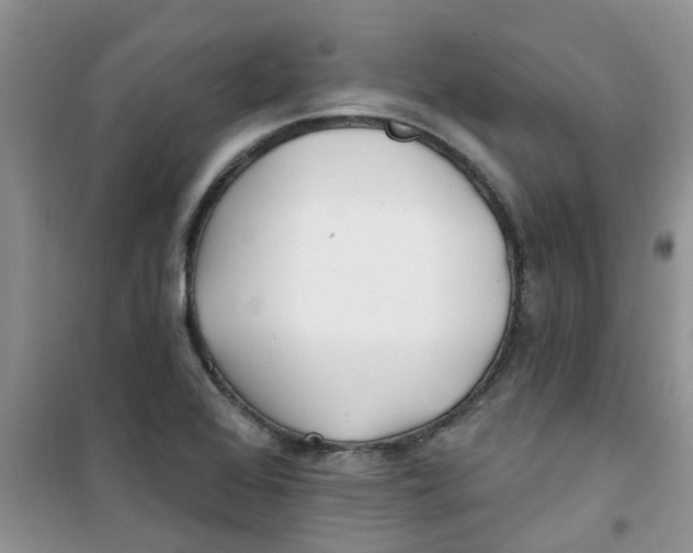 X0000100971368200807221159